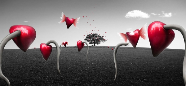 Creation of Field of hearts: Step 12
